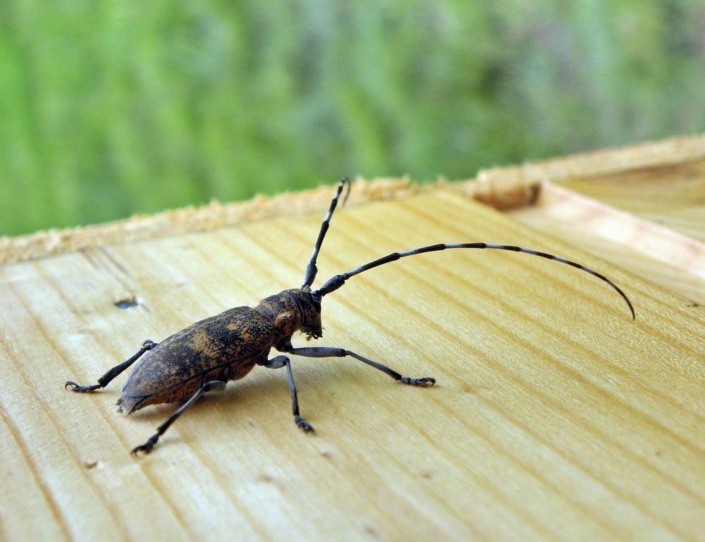 Photograph by Валерий Клейменов