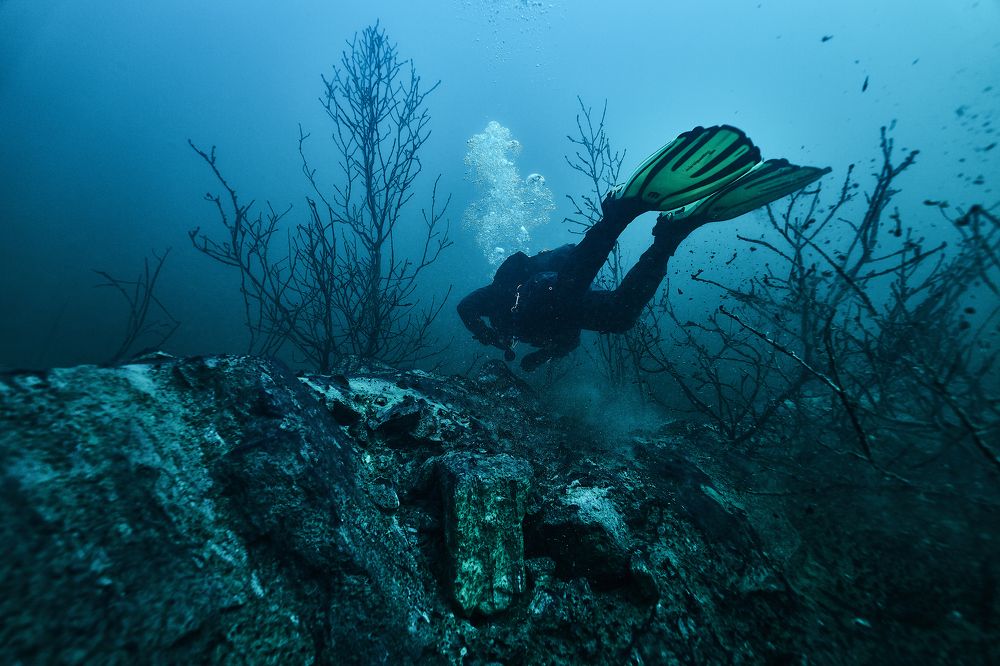 Photograph by Павел Карчевский