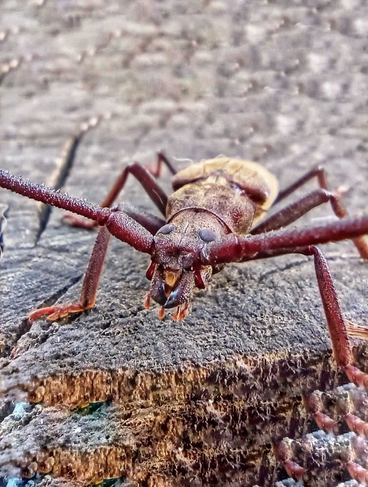 Photograph by Долгушева Татьяна