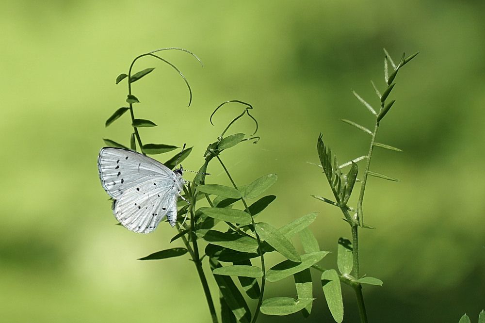 Photograph by Галина Кан