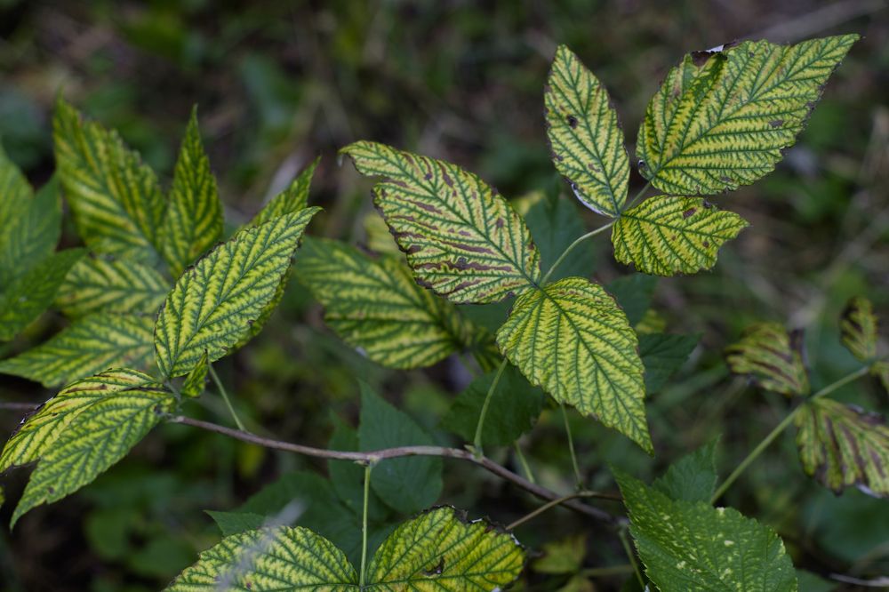 Photograph by Евгений Грушевский