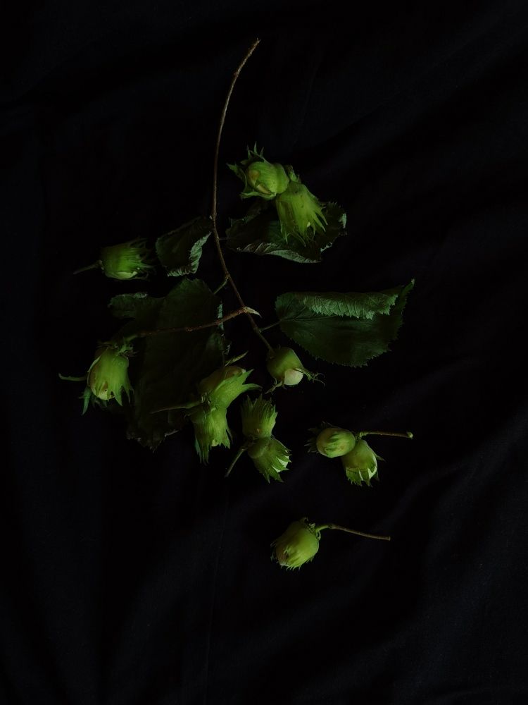 Фотография автора Tatiana Kots