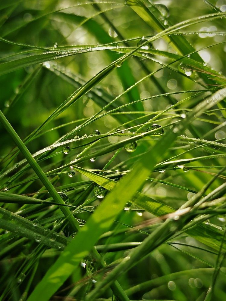 Photograph by Долгушева Татьяна