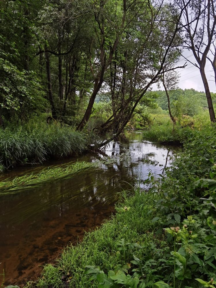 Фотография автора Tatiana Kots