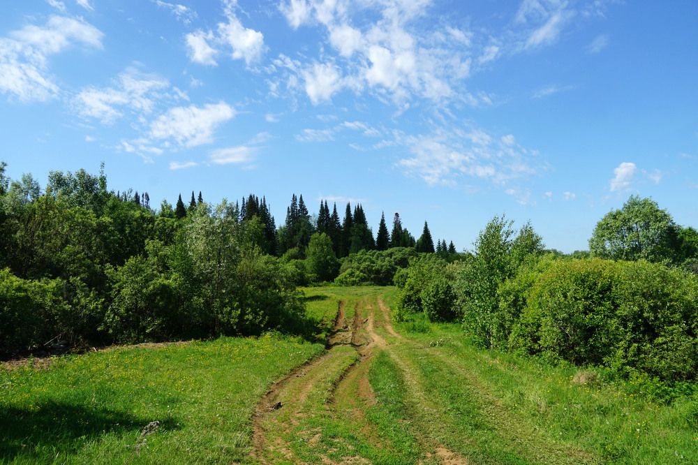 Photograph by Галина Кан