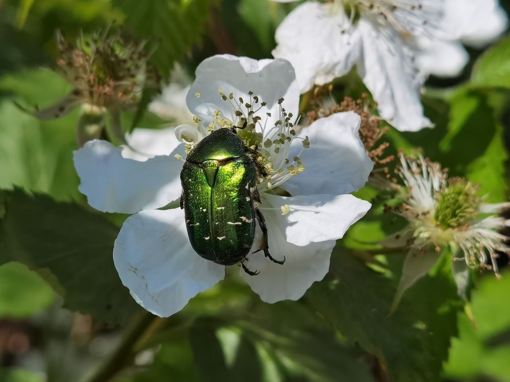 Фотография автора Tatiana Kots