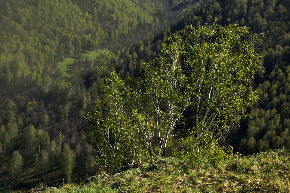 Photograph by Наталия Брянцева