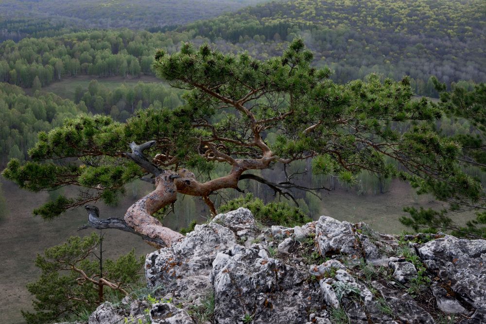 Photograph by Наталия Брянцева