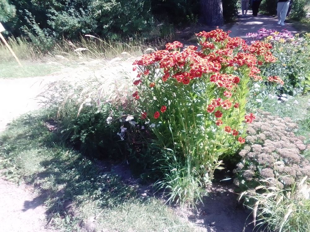 Photograph by Irina Mihailovskaya