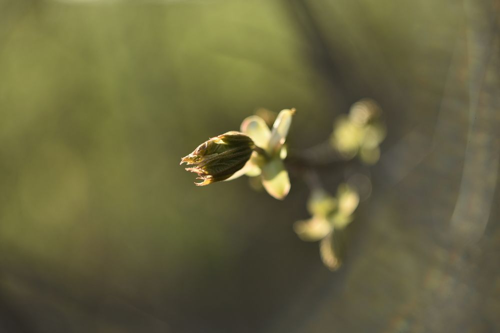 Photograph by Наталия Брянцева