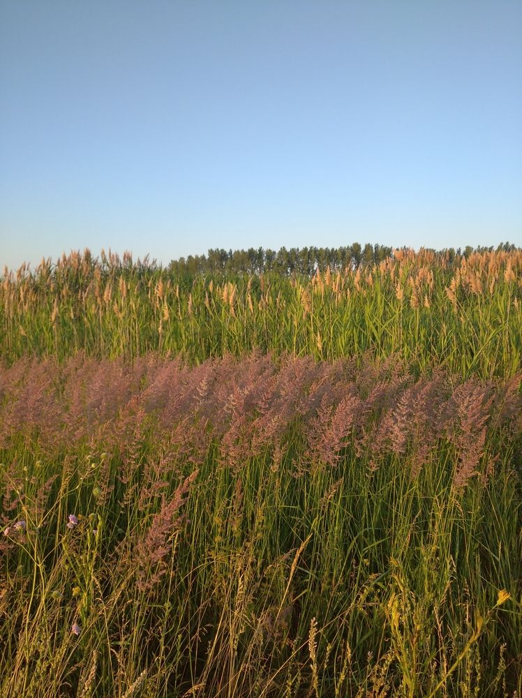 Photograph by Елена Коробченко