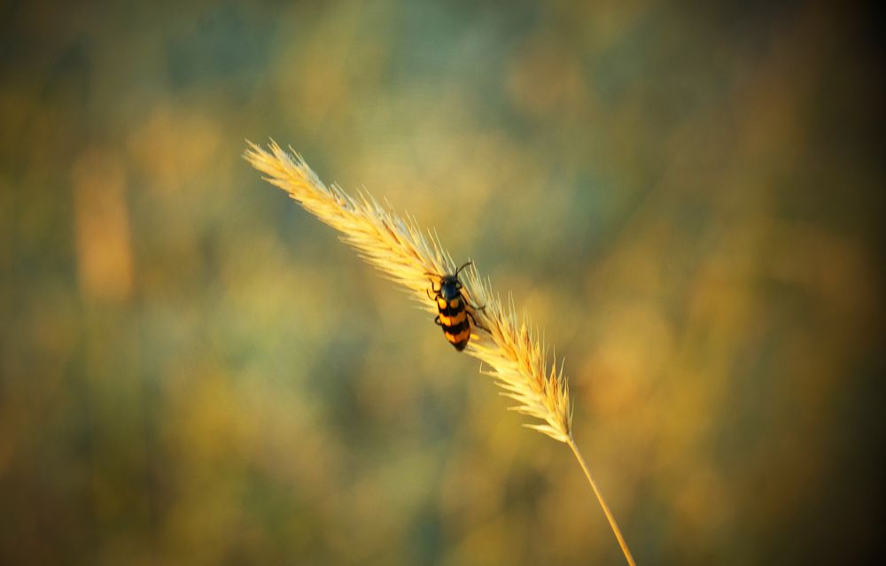 Photograph by Sergey Kudryashov