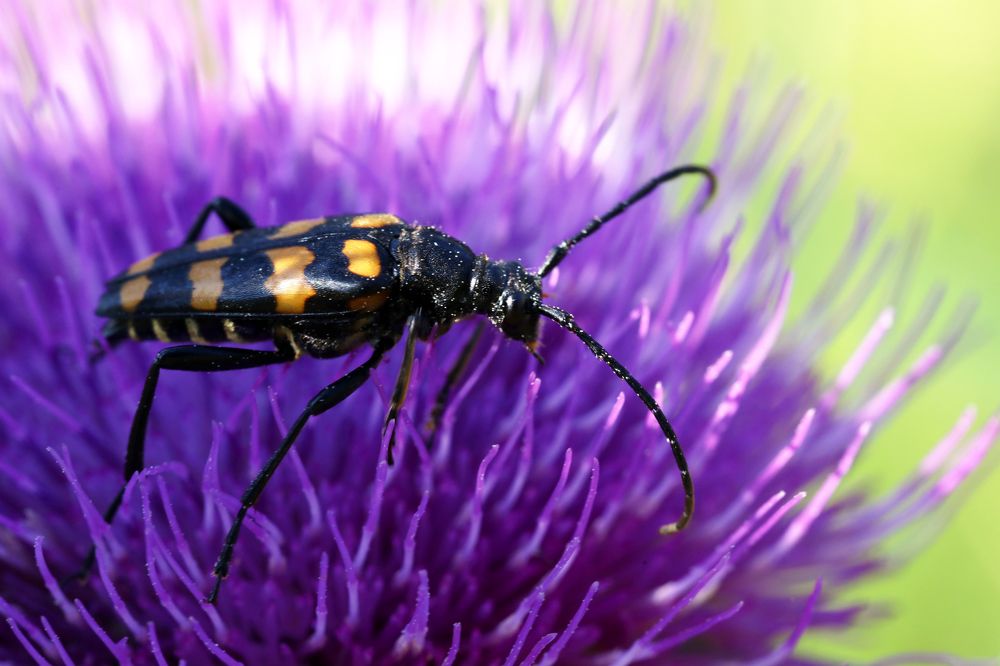 Photograph by Olga Oginskaya