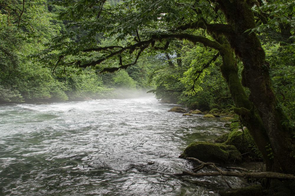 Фотография автора Роман
