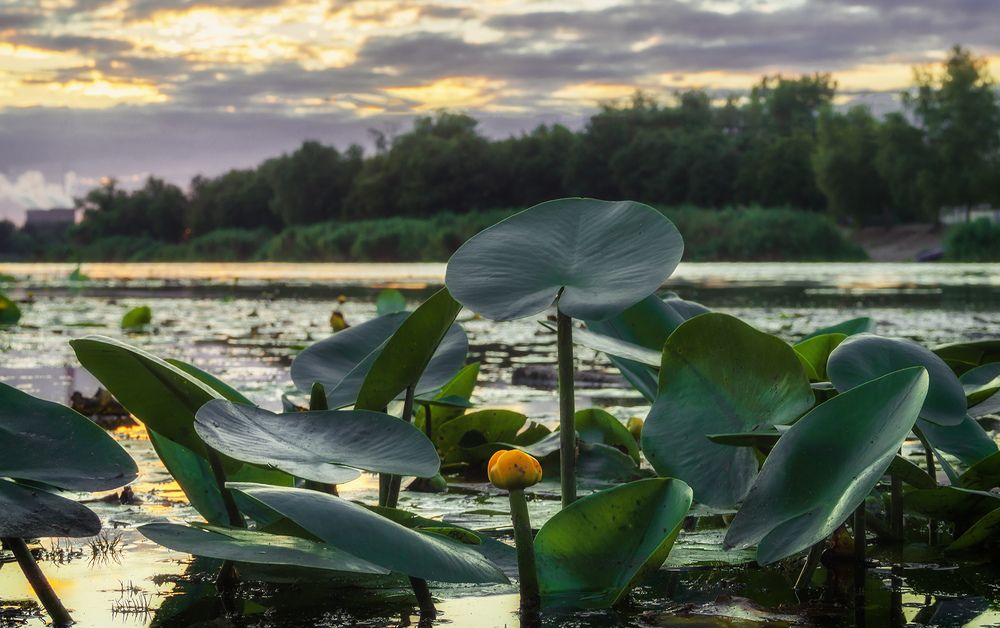 Photograph by Сергей Епишев