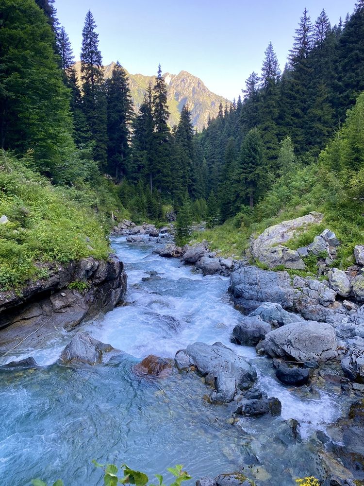 Природа Западного Кавказа