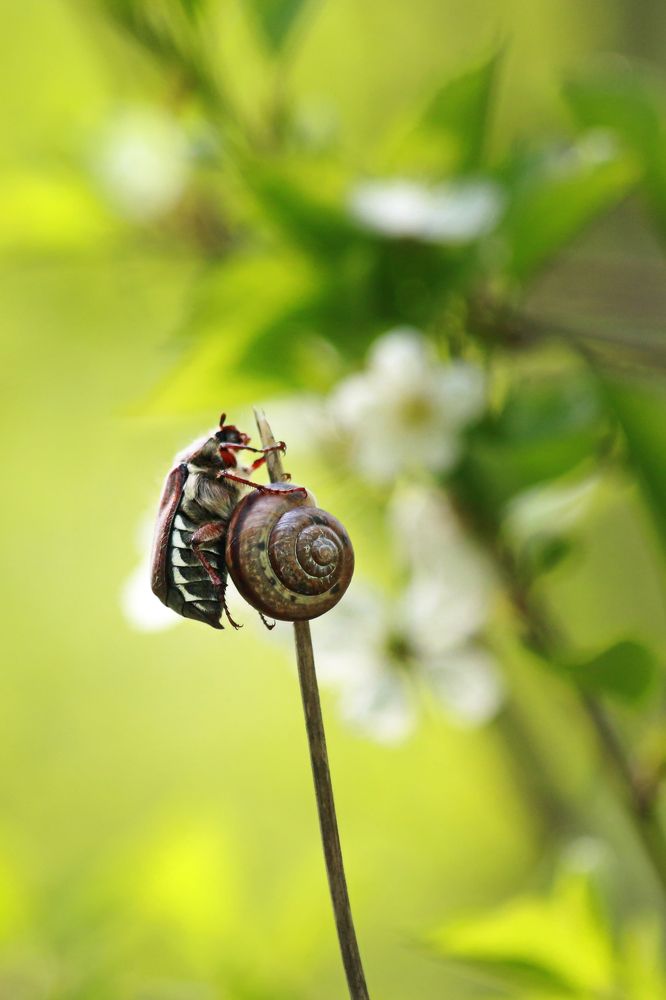 Photograph by Мария Зайцева