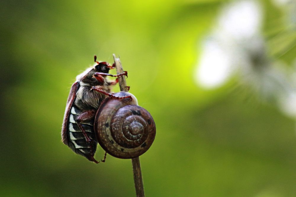 Photograph by Мария Зайцева