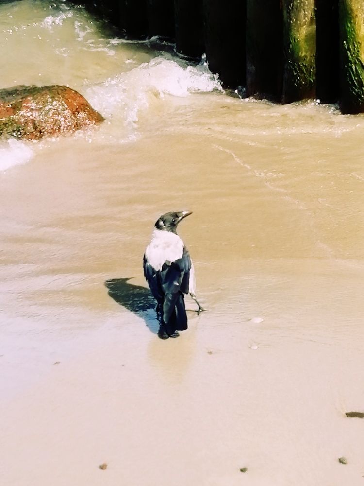 Photograph by Галина Смирнова