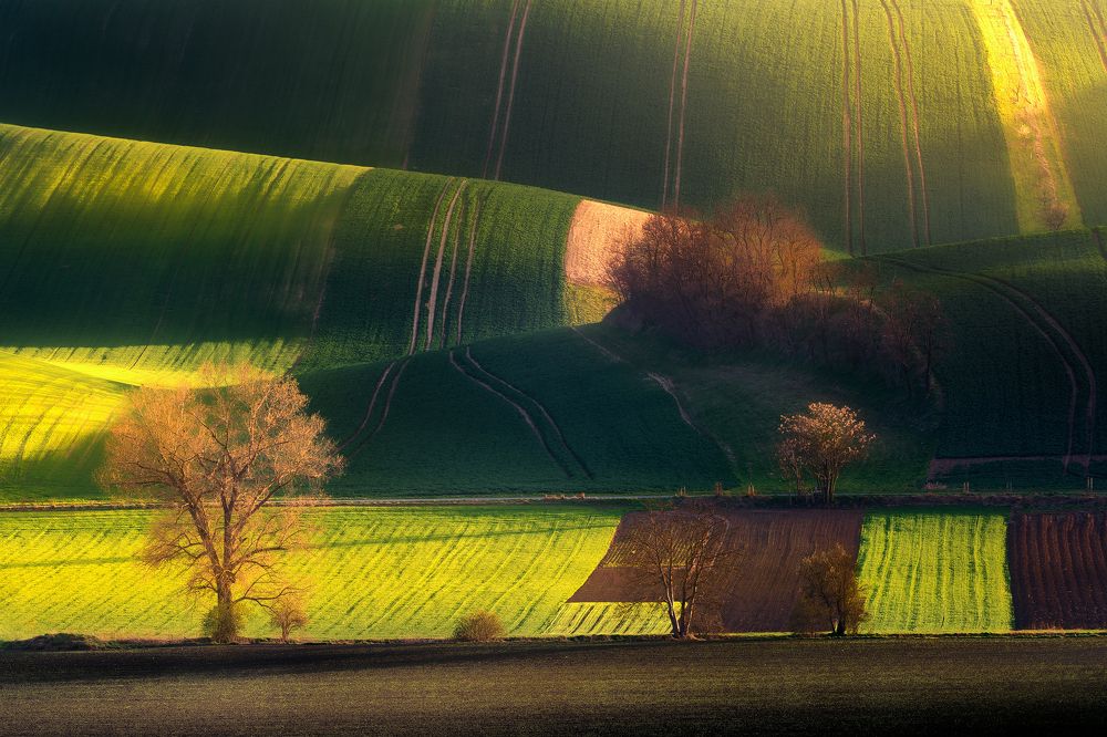 Countryside in waves