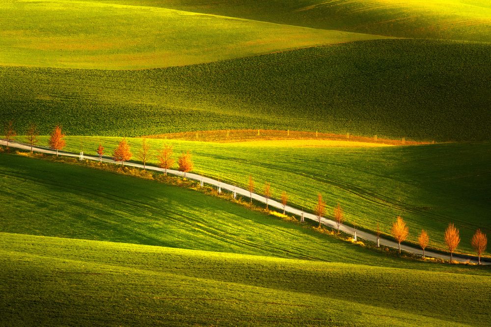 On the waves of Moravia