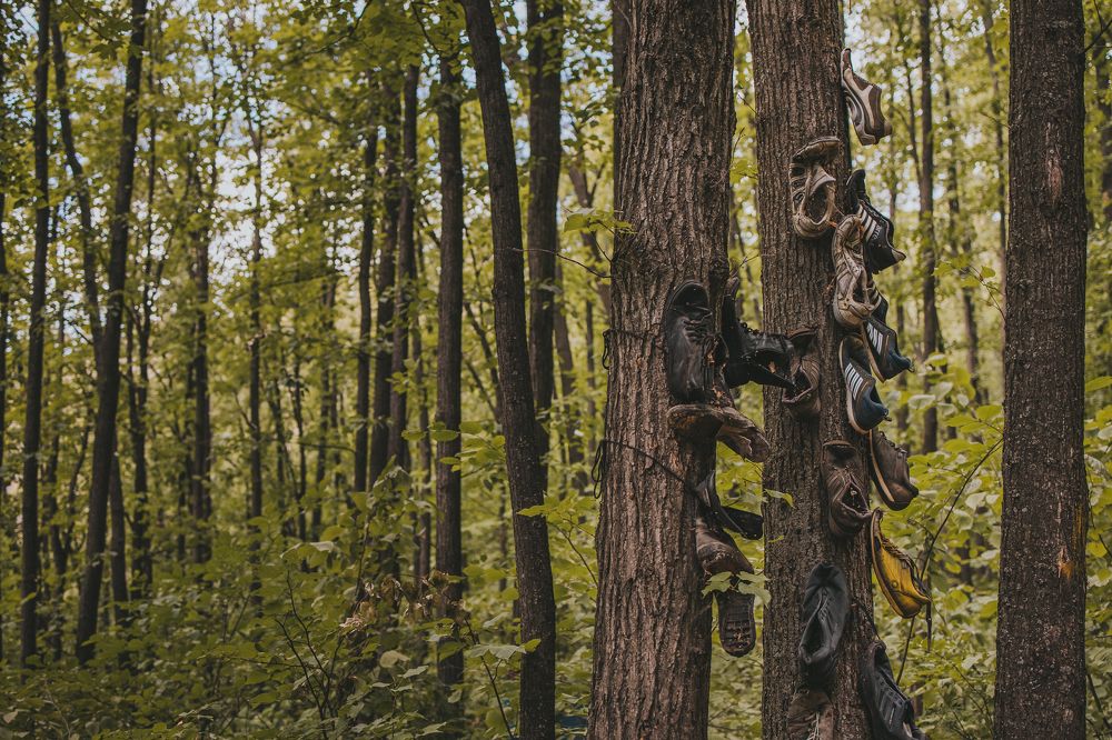 Photograph by Ксения Кузнецова