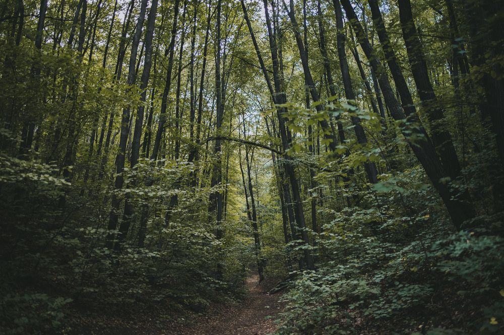 Photograph by Ксения Кузнецова