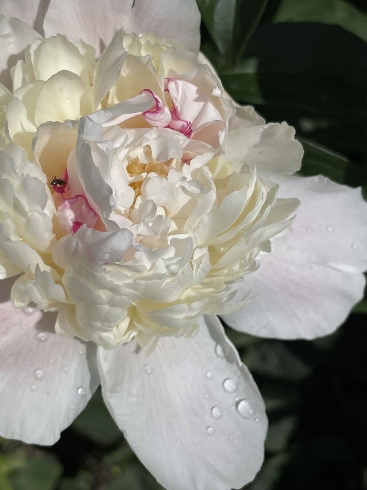 Photograph by Ольга