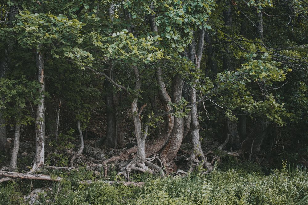 Photograph by Ксения Кузнецова