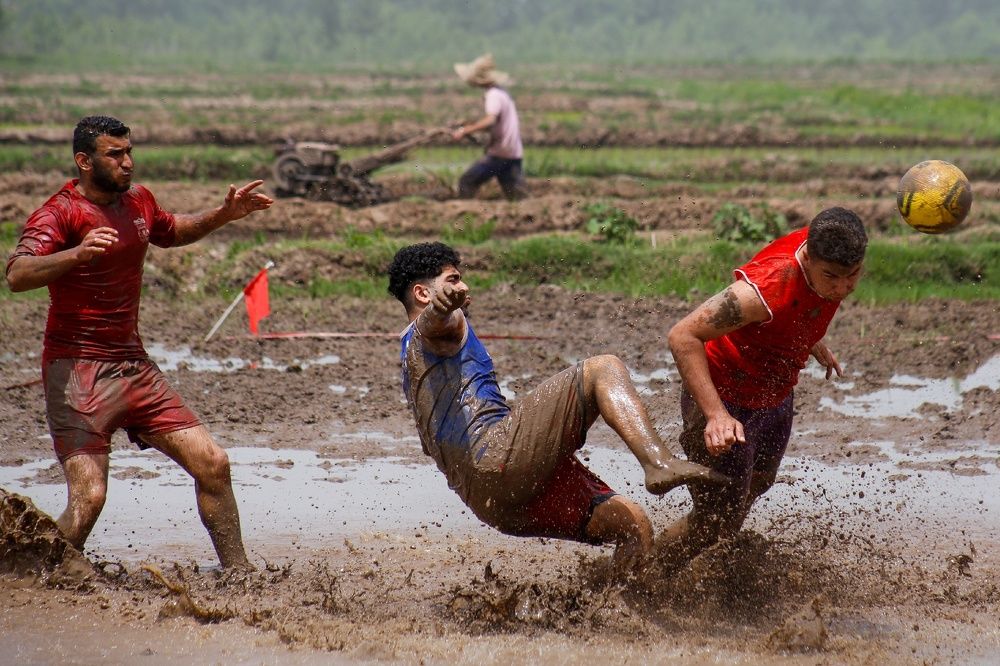 Фотография автора Elahe Fa