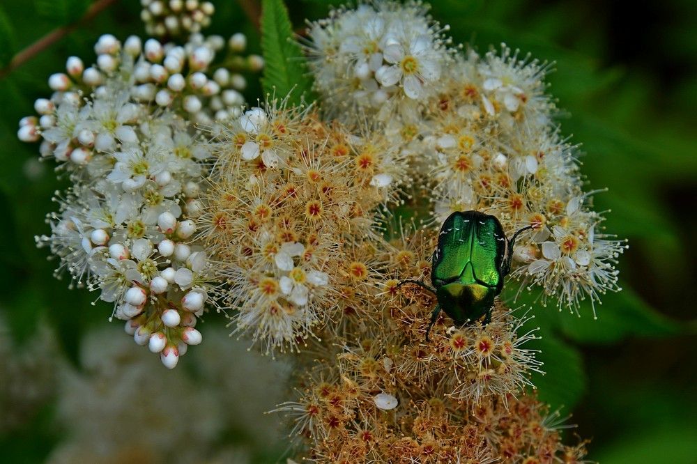 Photograph by Людмила