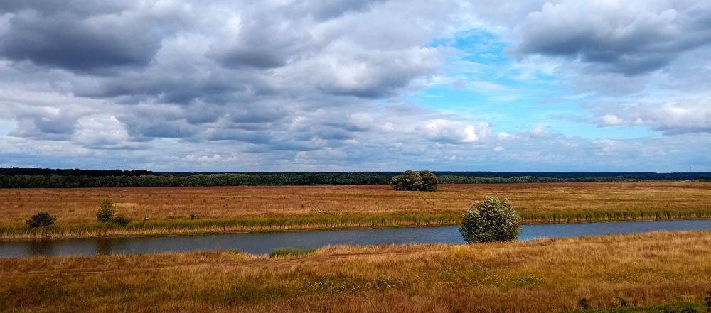 Фотография автора Юлия Нижура