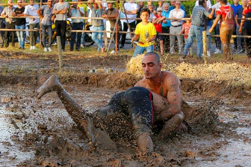 Фотография автора Elahe Fa