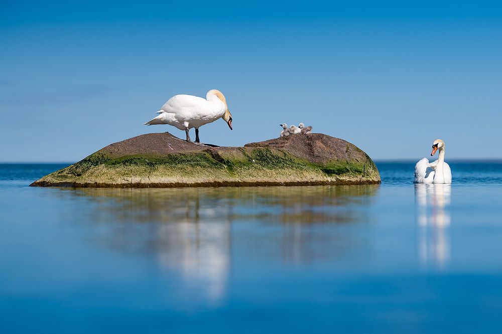 Photograph by Александр Абросимов