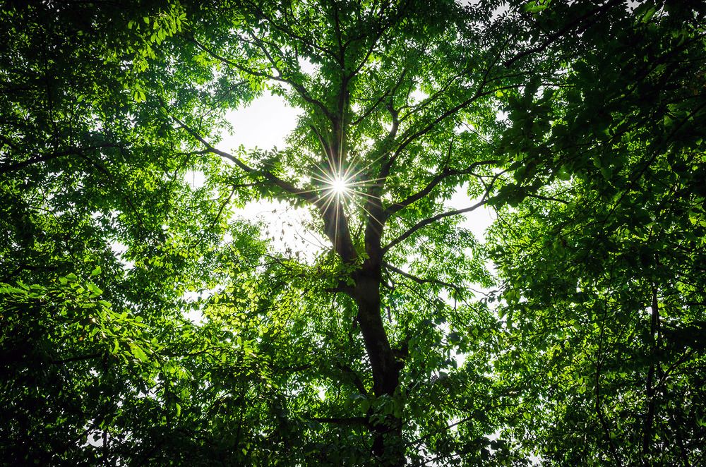 Photograph by Sahar Jafari