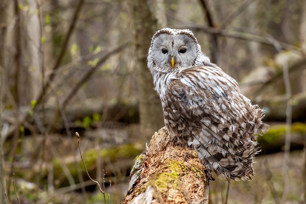 Photograph by Александр Абросимов