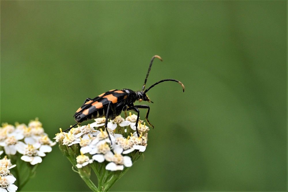 Фотография автора IRINA FILIPPOVA