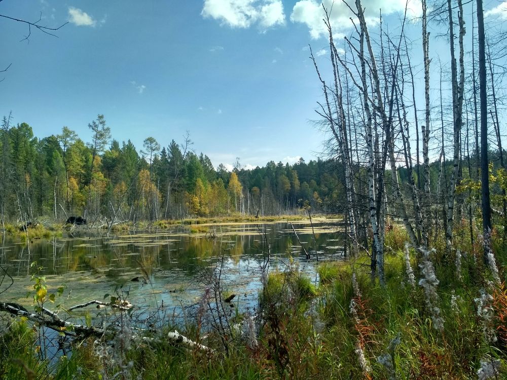 Photograph by Ольга Васильева