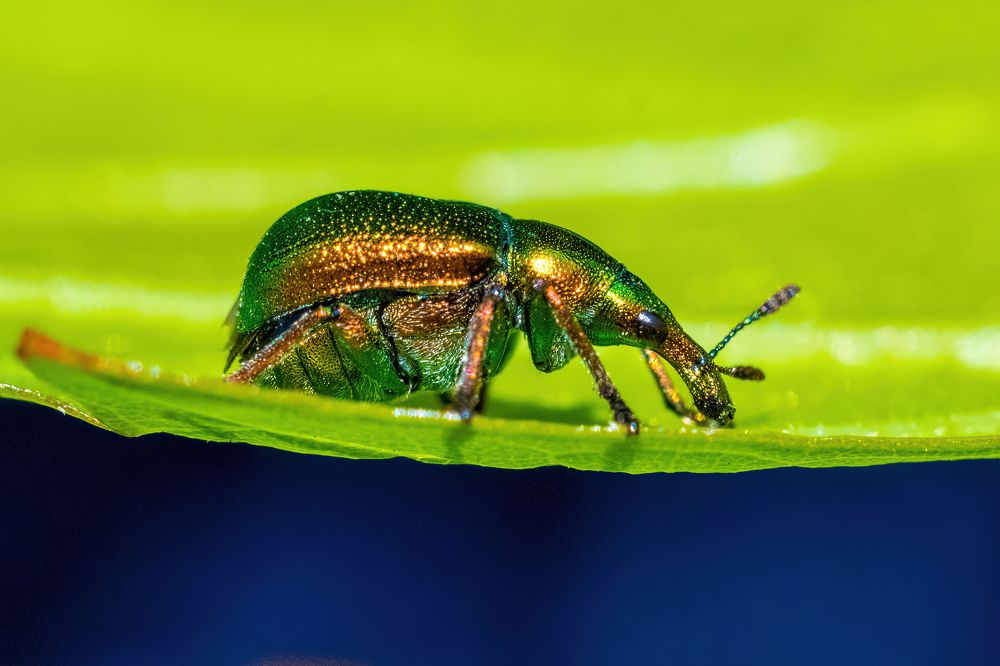 Photograph by Максимов Алексей