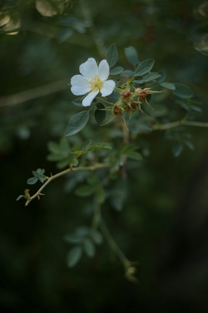 Фотография автора Ксения Лепина