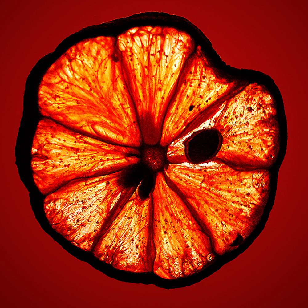 Фотография автора Невмержицкий Валерий