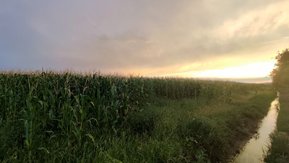 Фотография автора Ксения Лепина