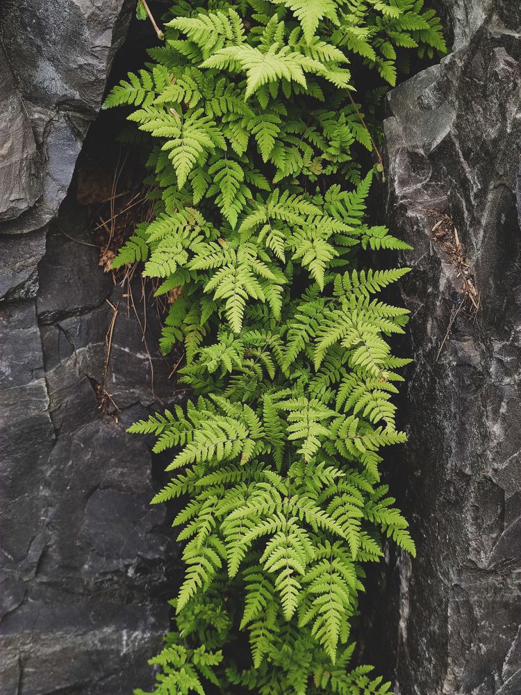 Фотография автора Наталья Силантьева
