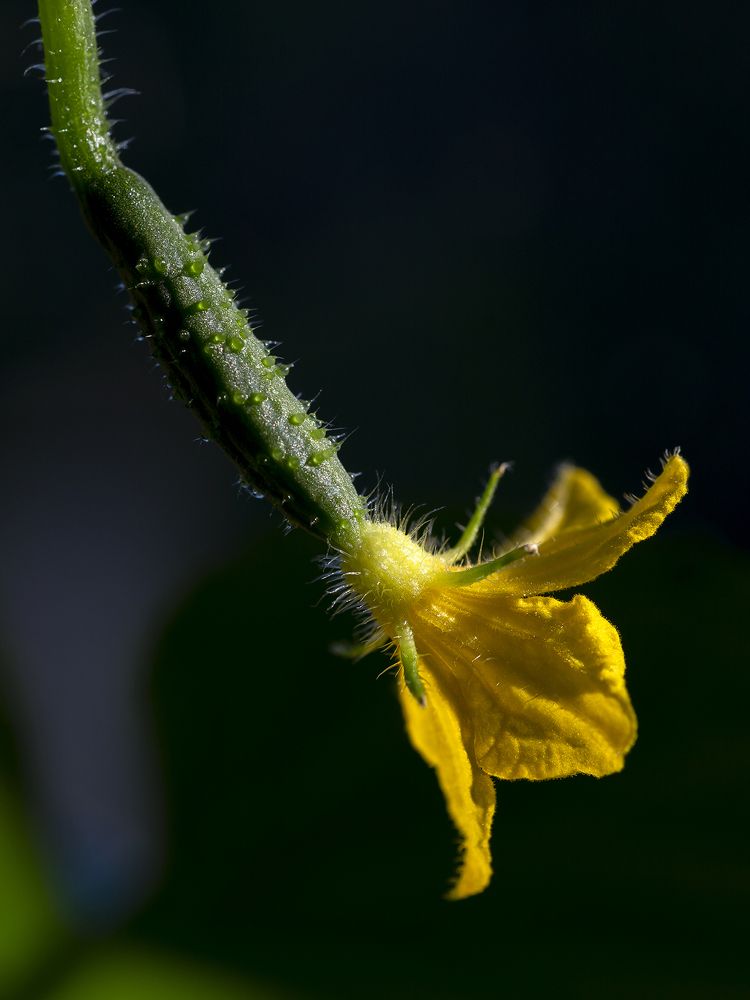 Photograph by Олег Тетерин