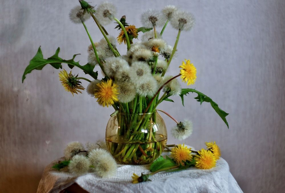 Фотография автора Екатерина Карасева