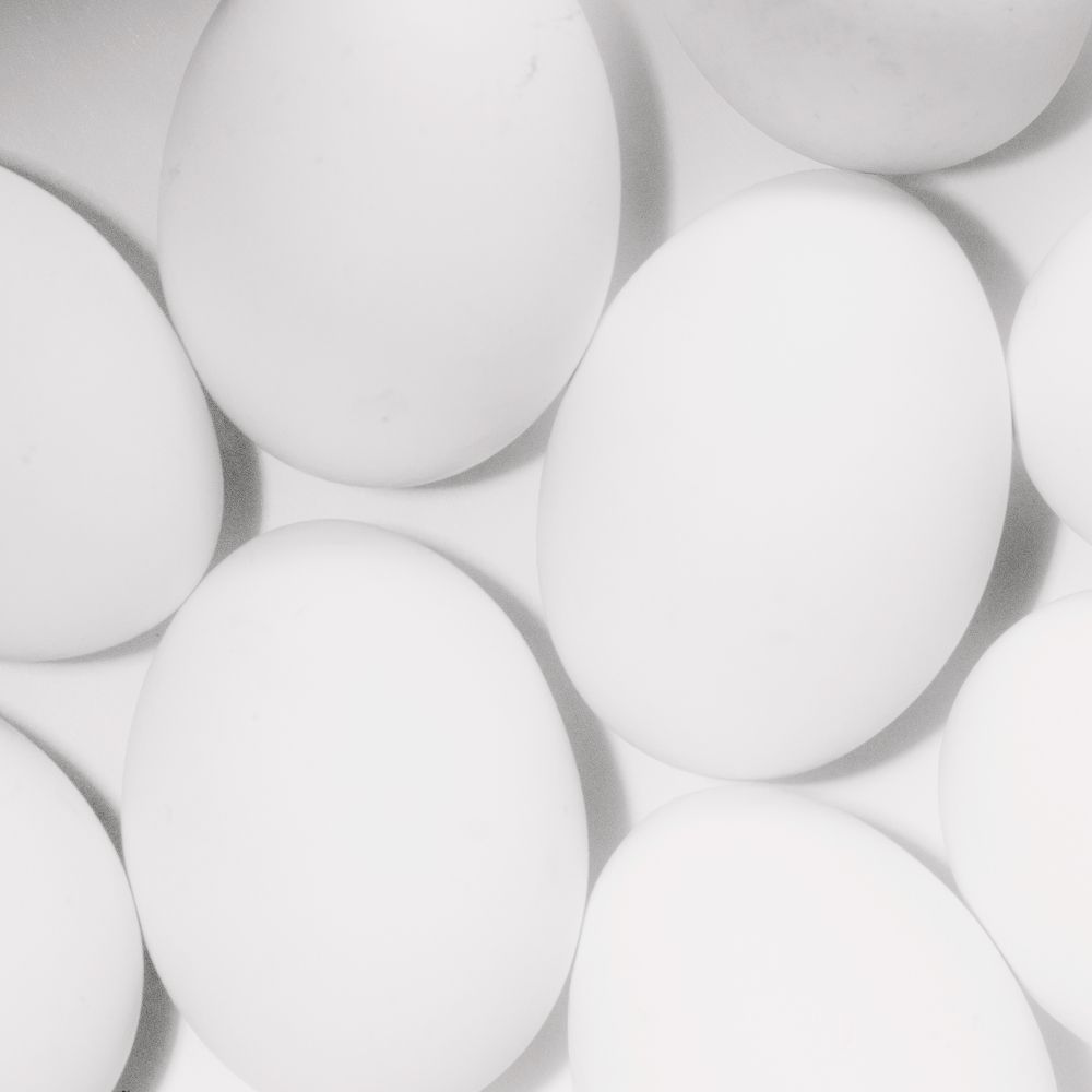 Photograph by Полина Каменкова