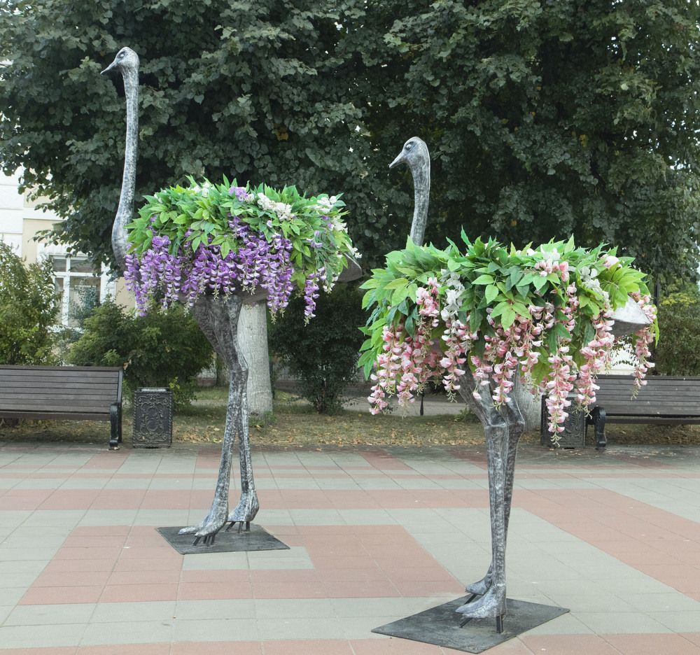 Photograph by владимир Заворотный