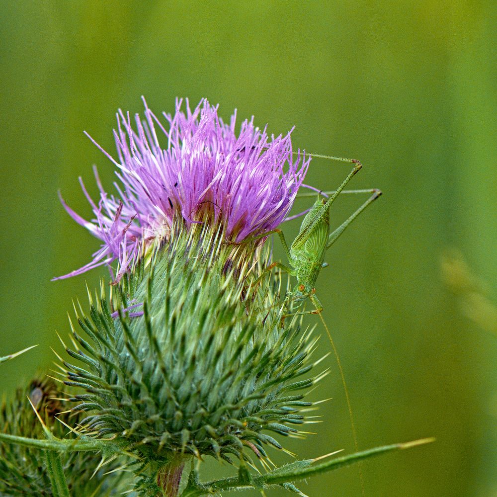 Photograph by Валерий
