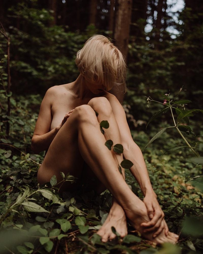 Фотография автора Евгений Величко