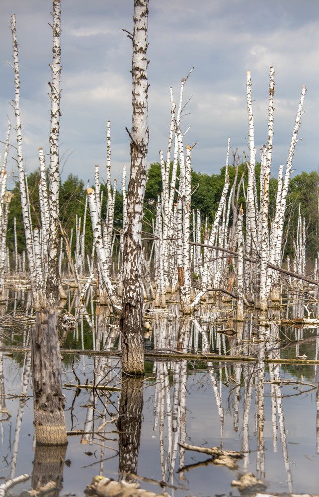 Photograph by Евгения Бочарова